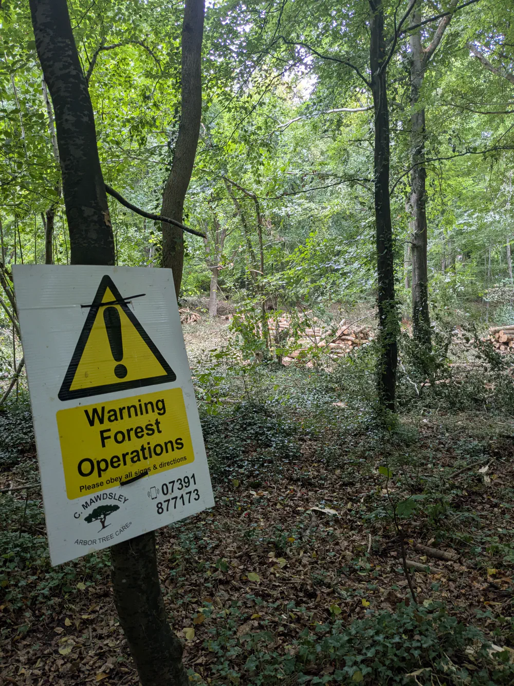 An image of this adventure