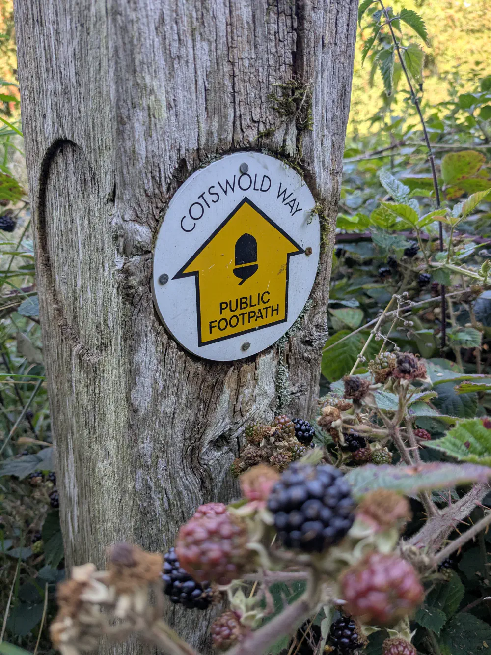 An image of this adventure