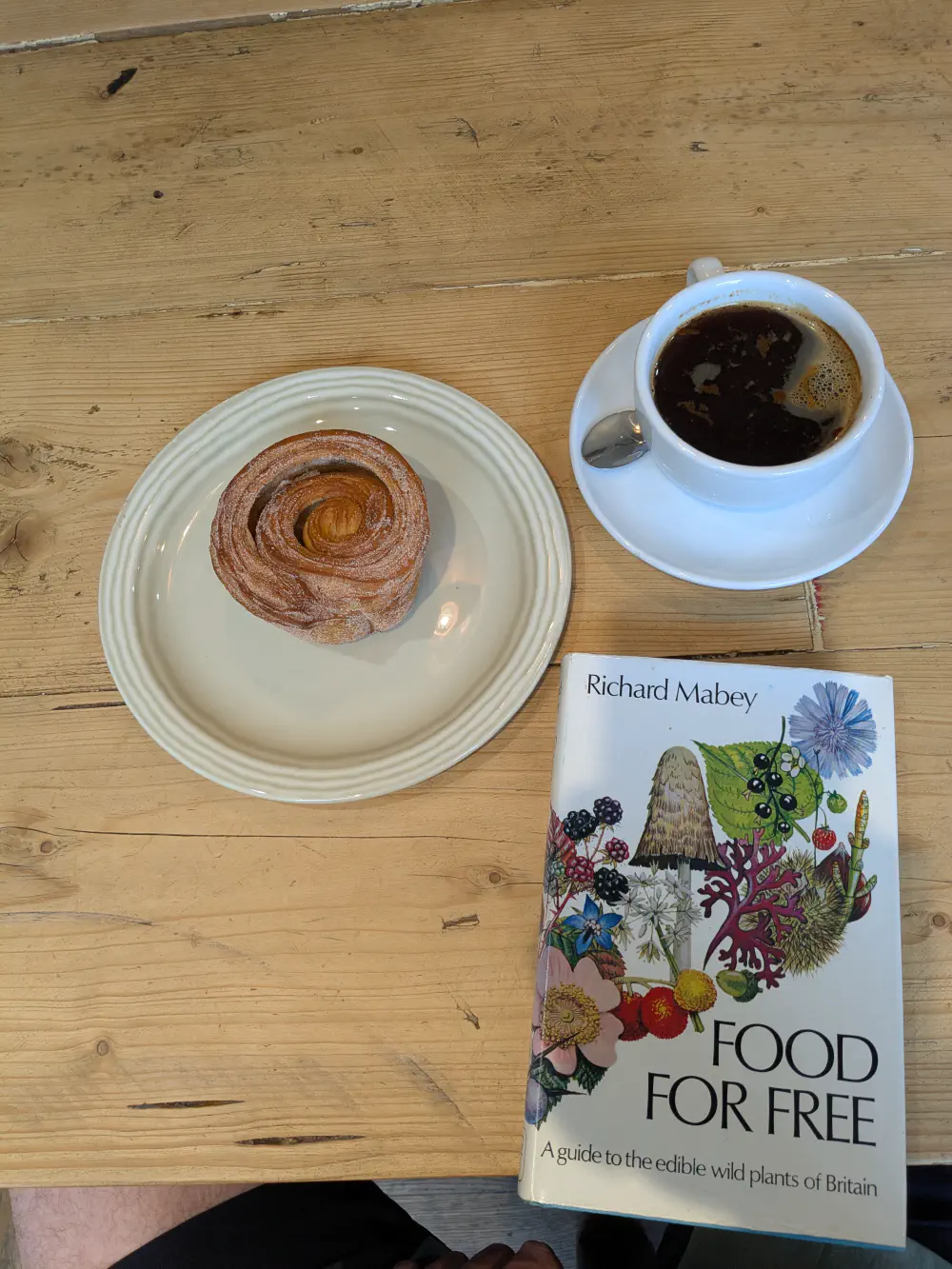 An image of this adventure