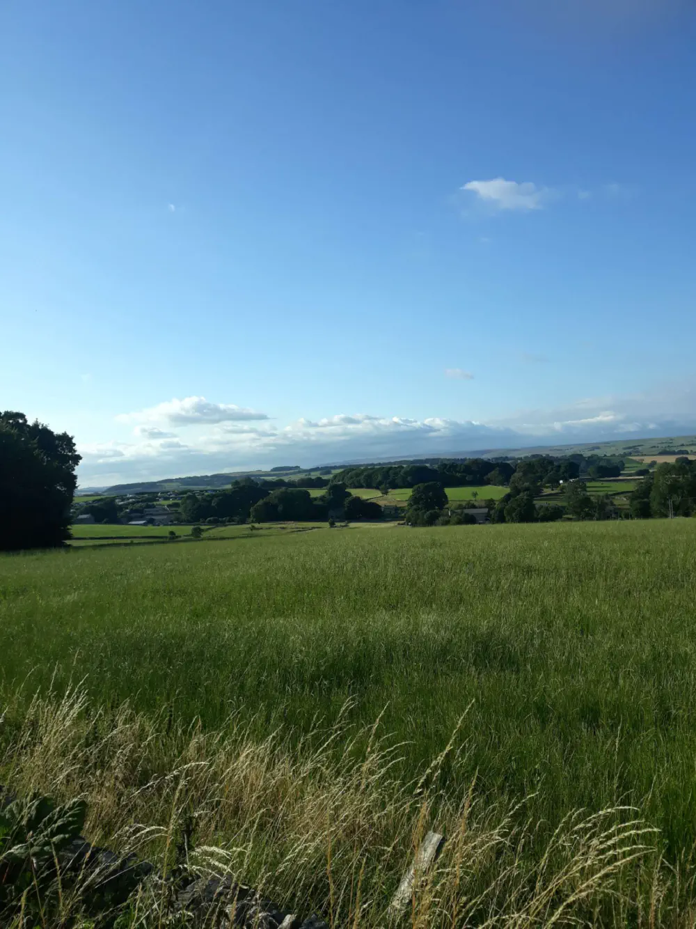 An image of this adventure