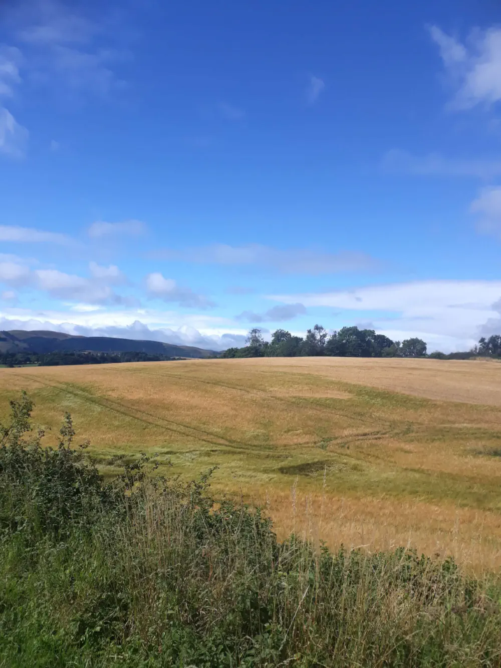 An image of this adventure