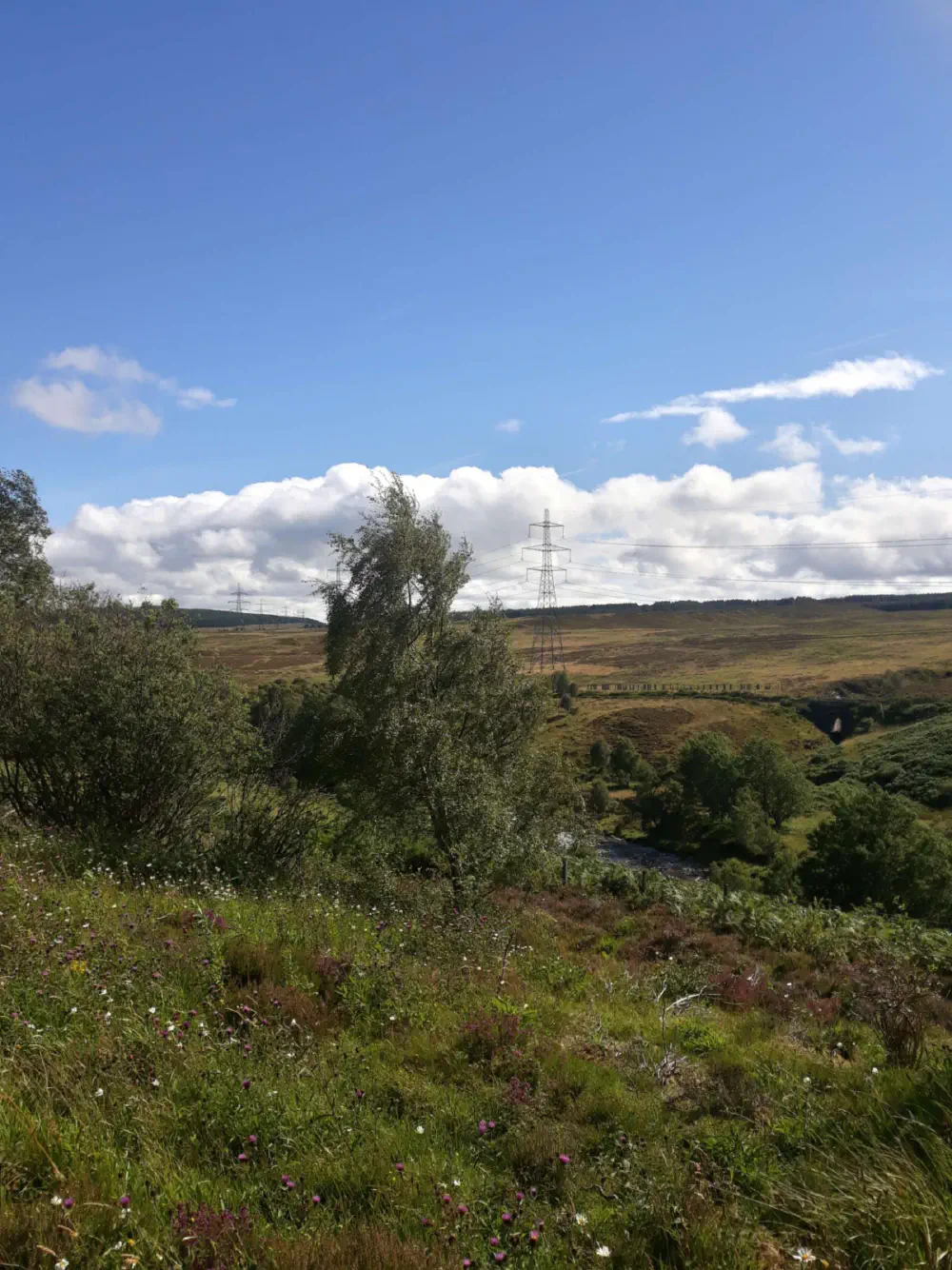 An image of this adventure