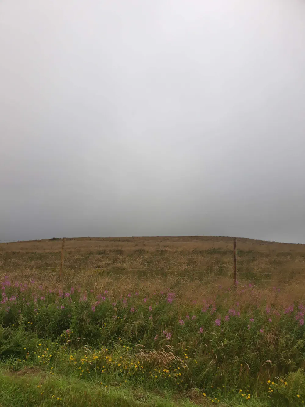 An image of this adventure