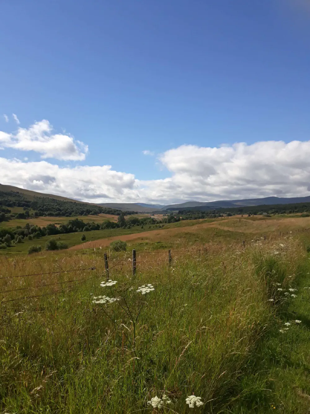 An image of this adventure