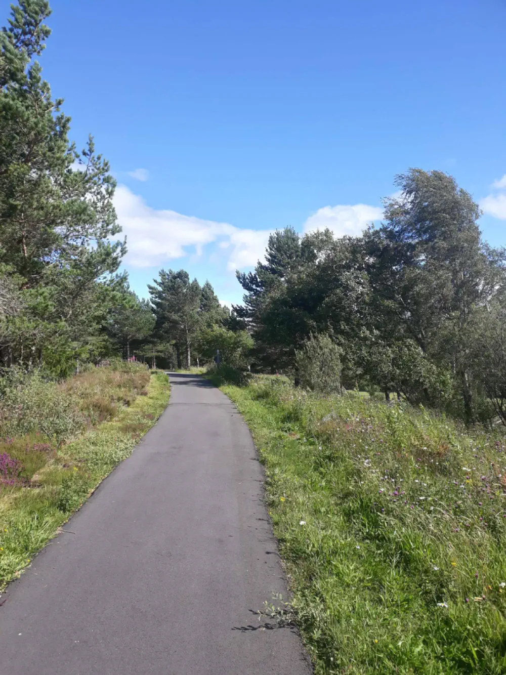 An image of this adventure