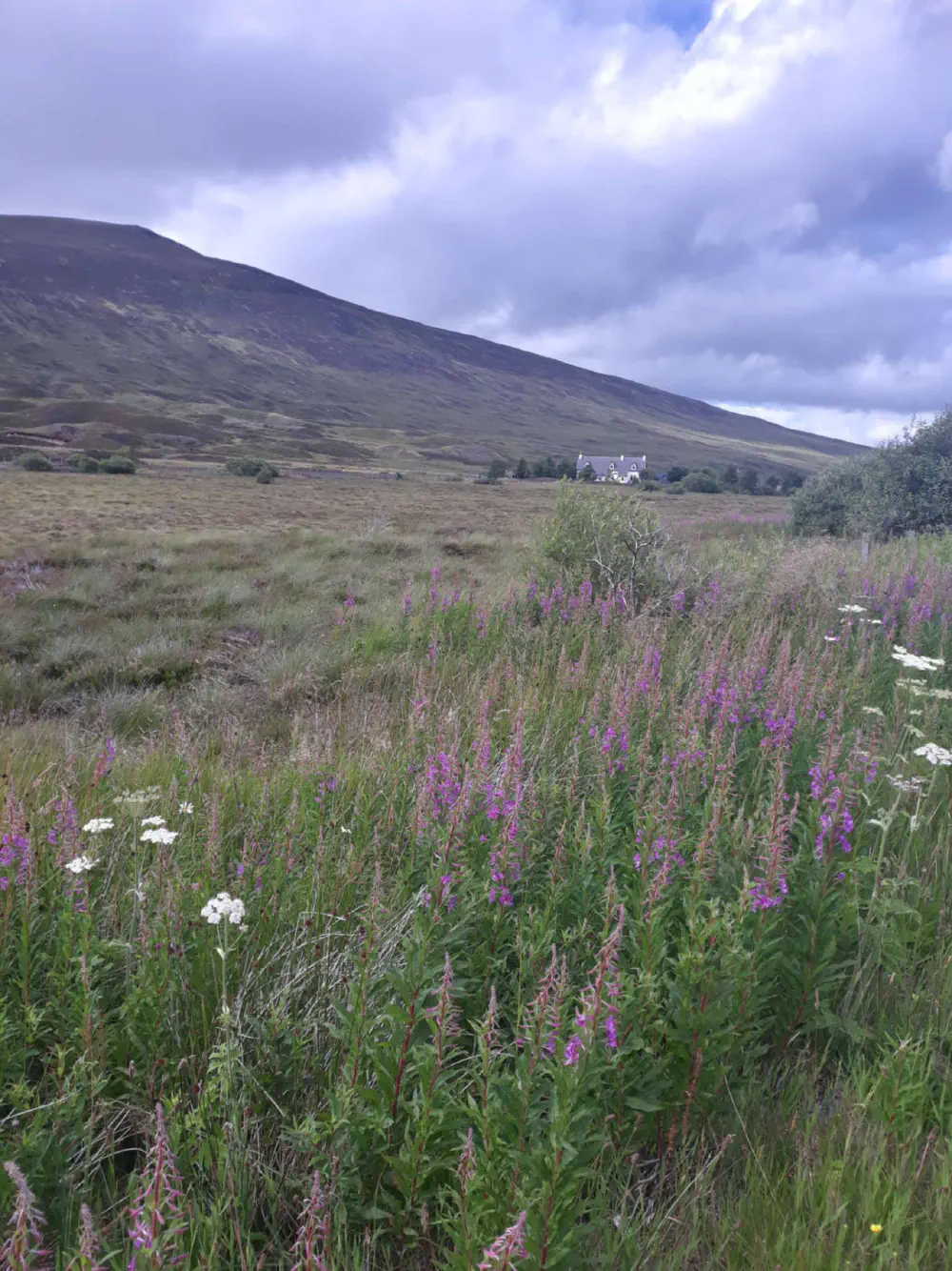 An image of this adventure