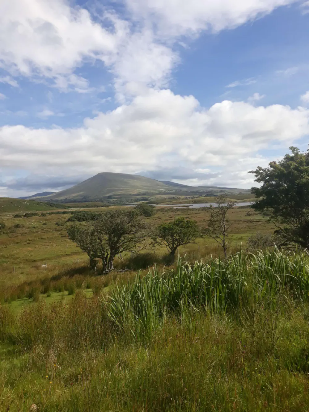 An image of this adventure