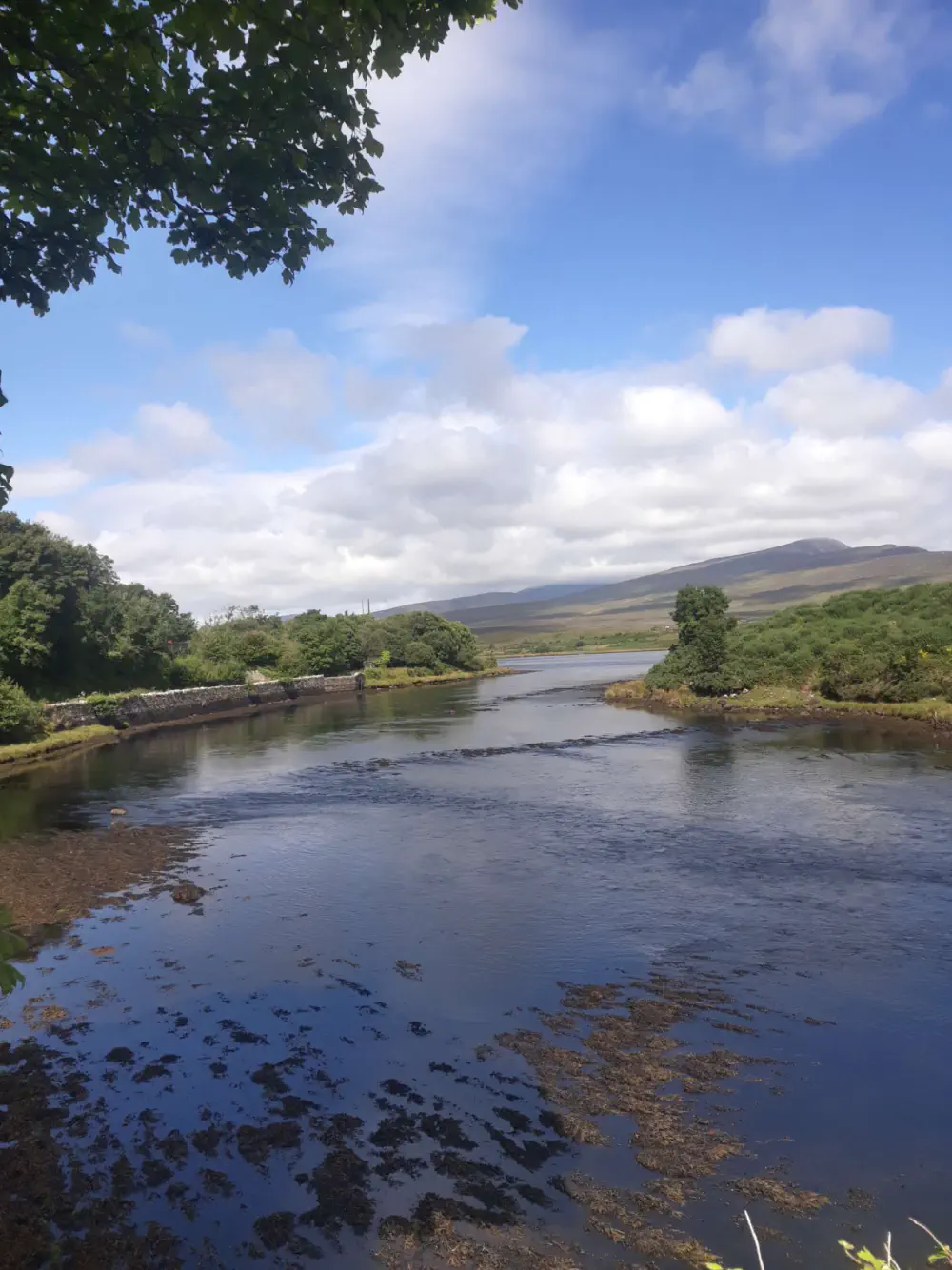 An image of this adventure