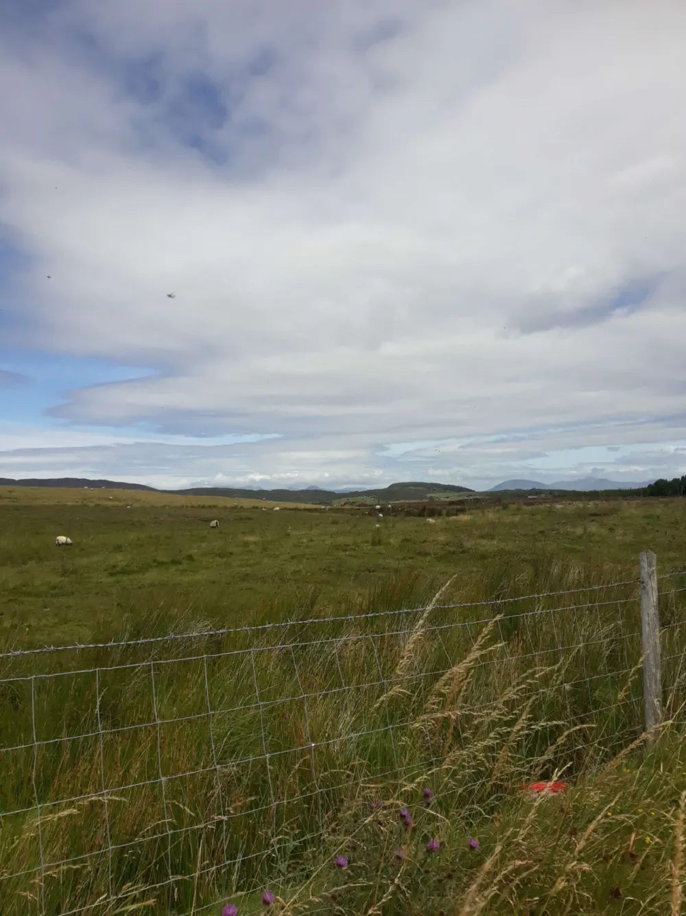 An image of this adventure