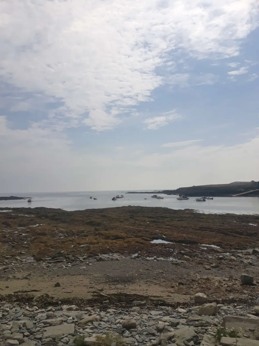 An image of this adventure