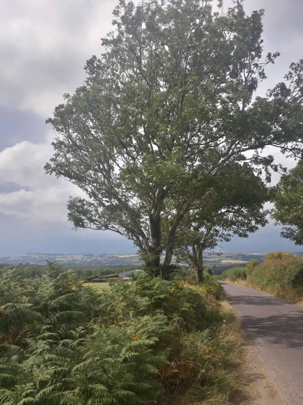 An image of this adventure