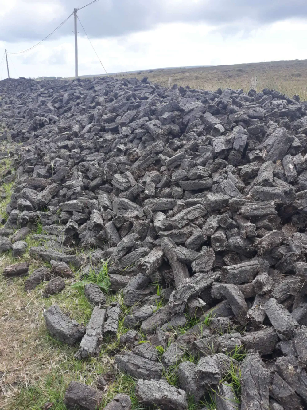 An image of this adventure