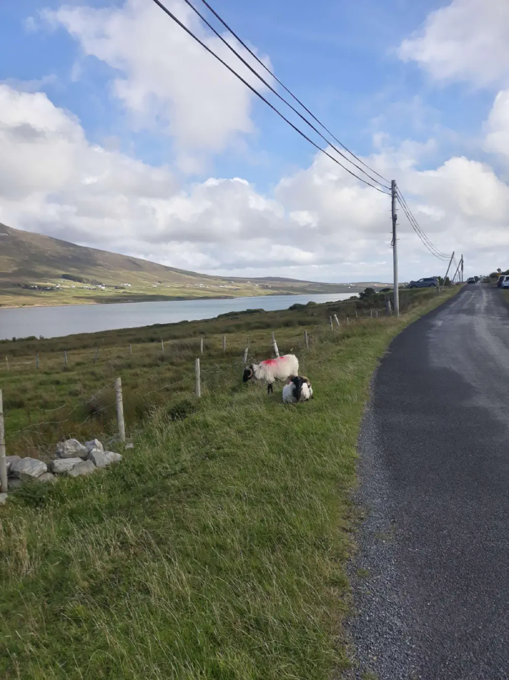 An image of this adventure