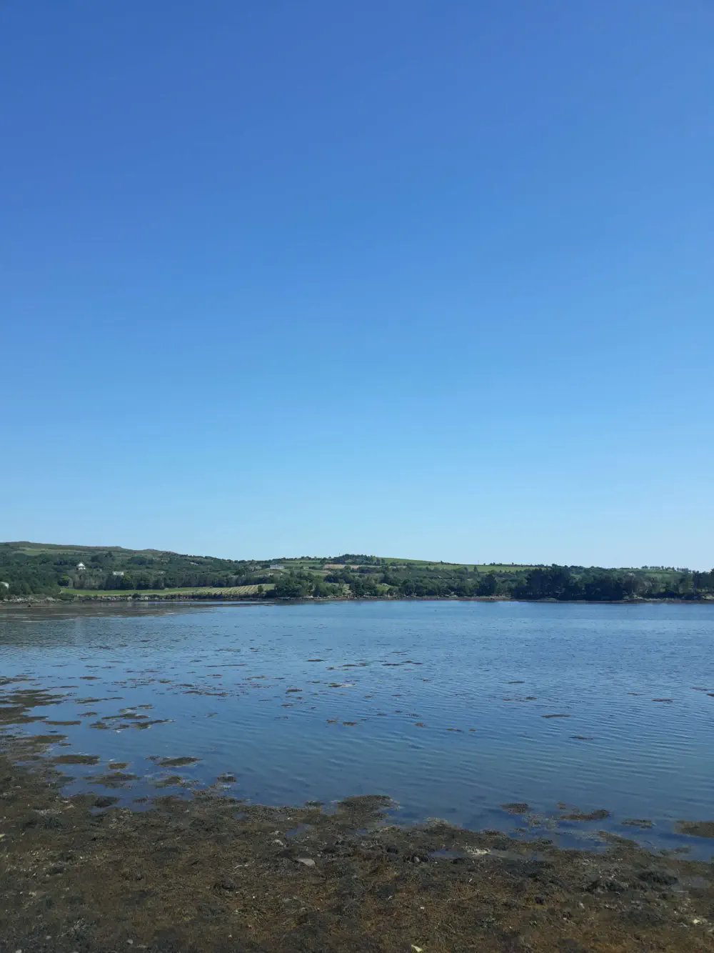 An image of this adventure