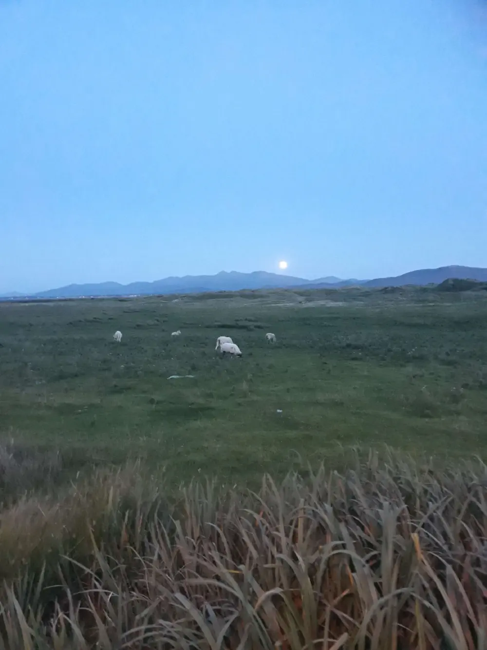 An image of this adventure