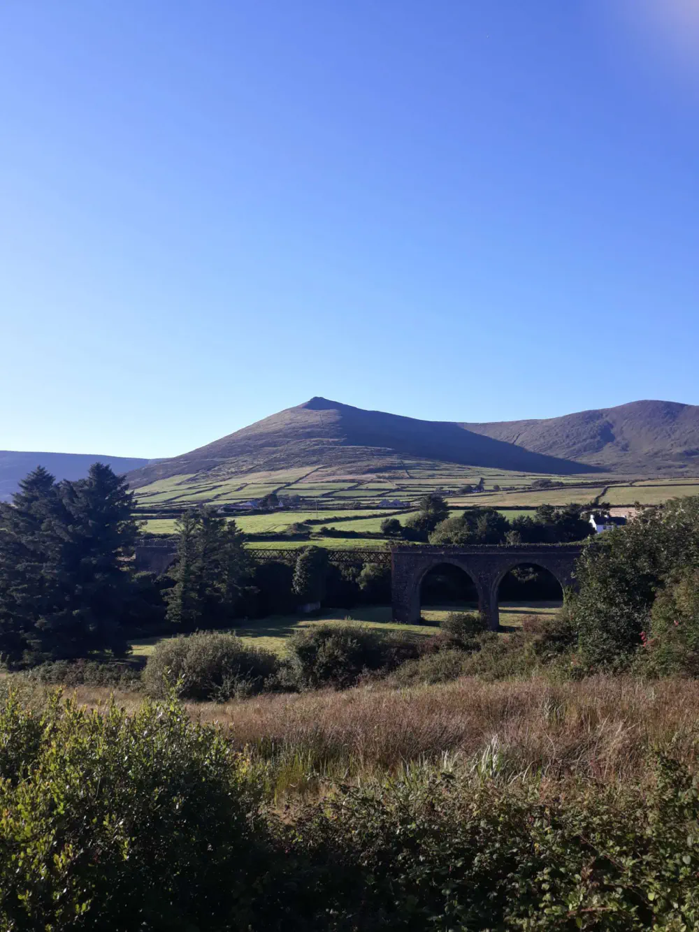 An image of this adventure