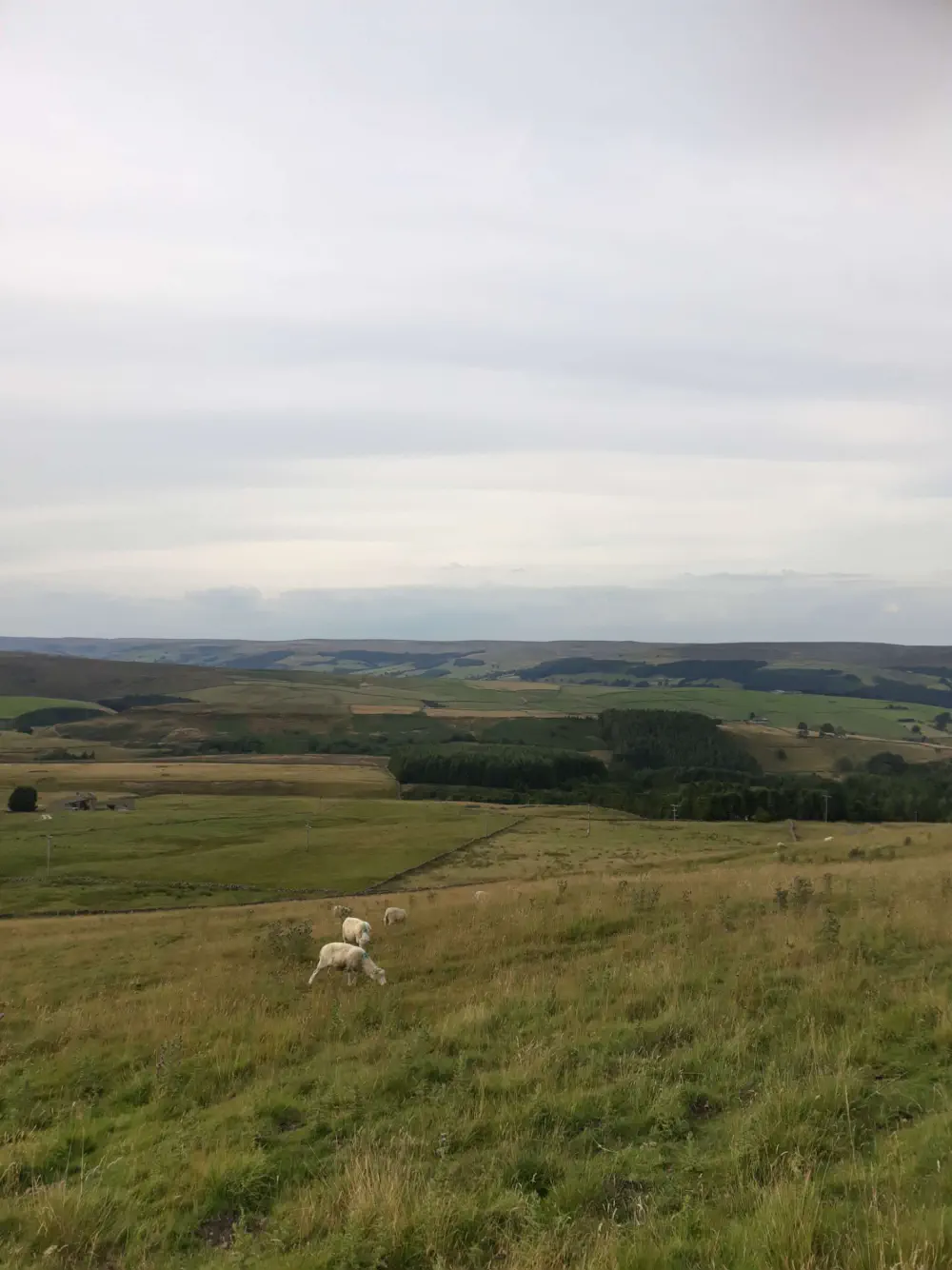 An image of this adventure