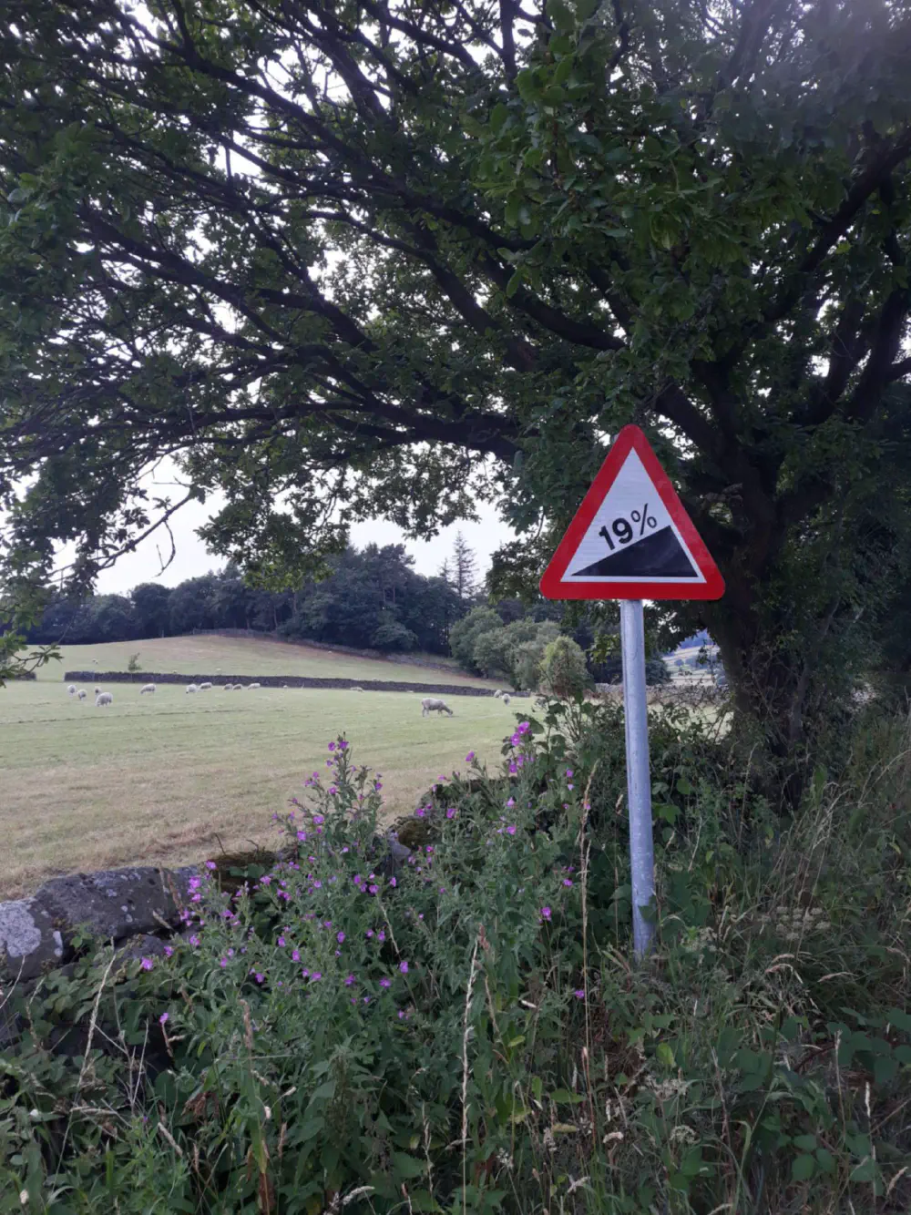 An image of this adventure