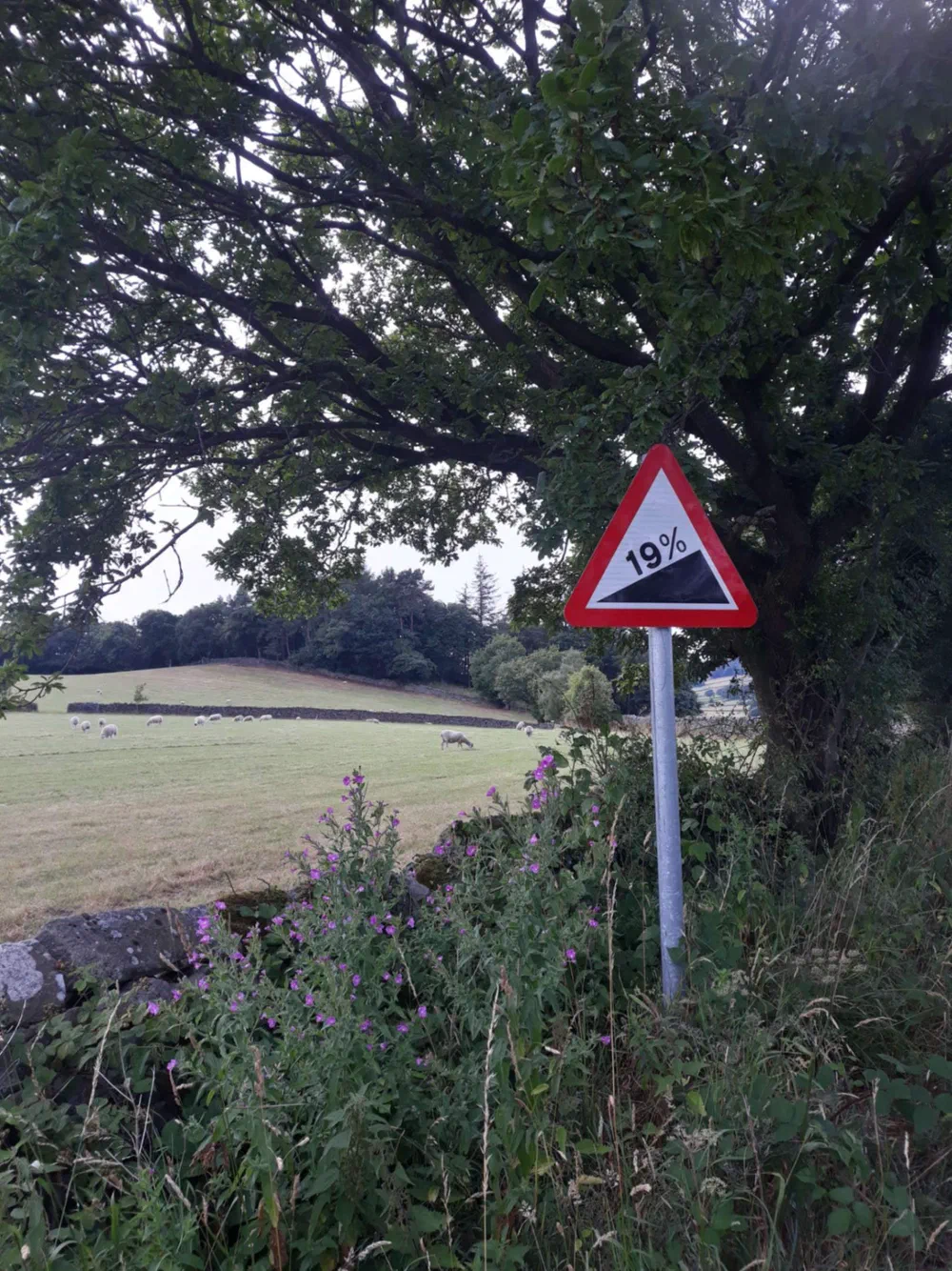 An image of this adventure
