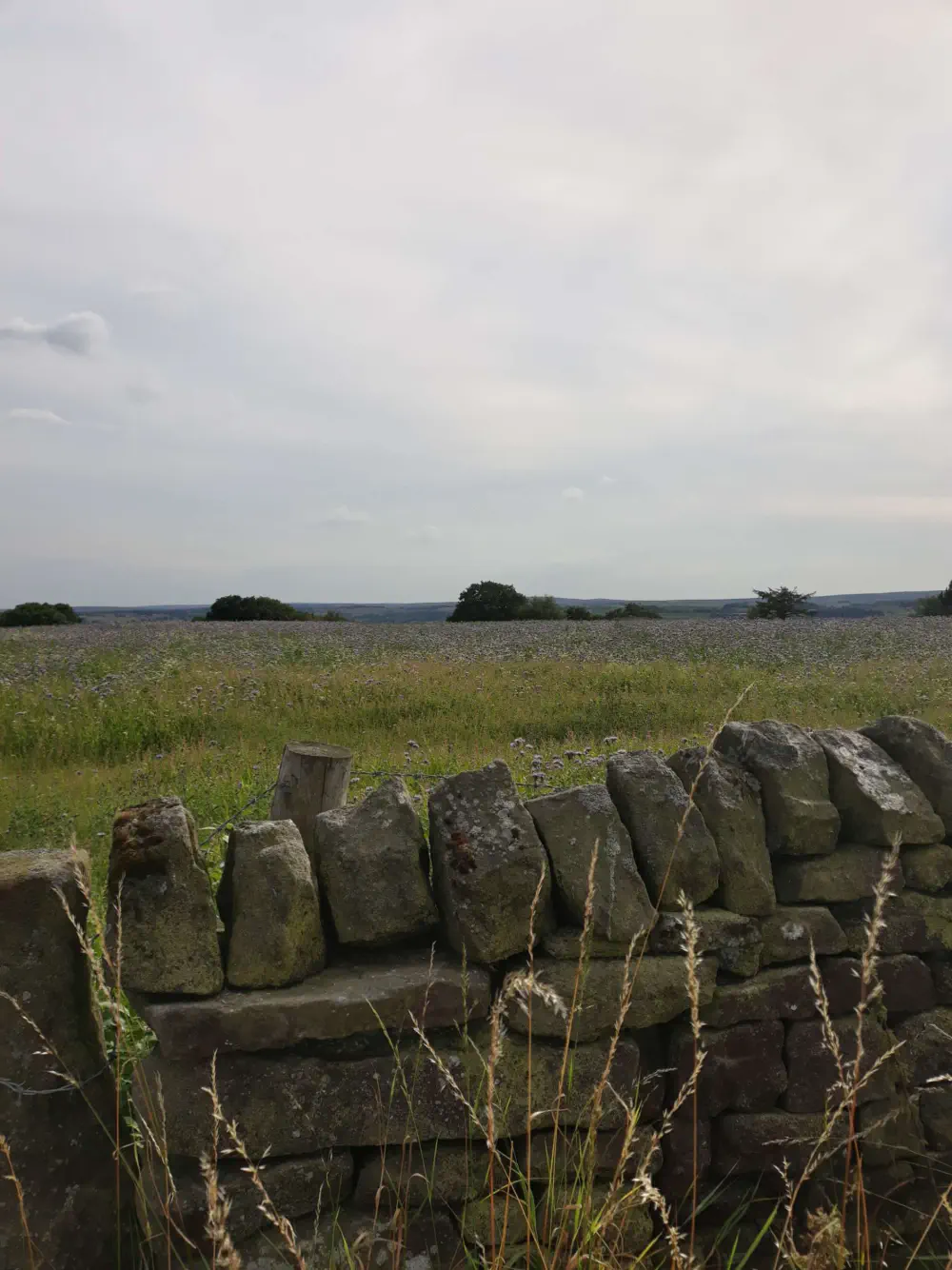 An image of this adventure