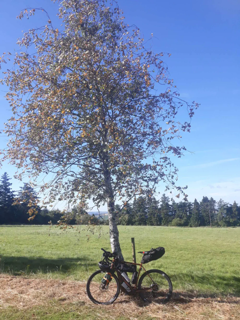 An image of this adventure