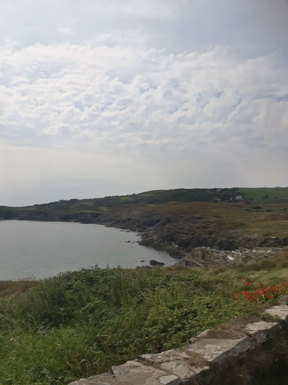 An image of this adventure