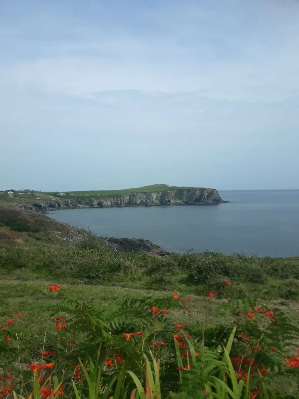 An image of this adventure