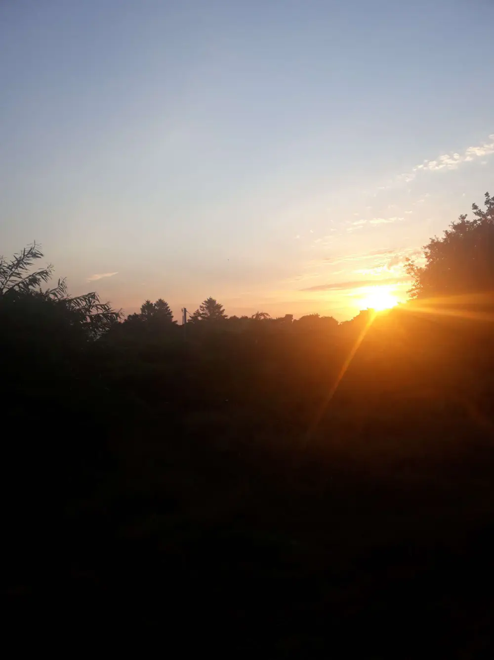 An image of this adventure