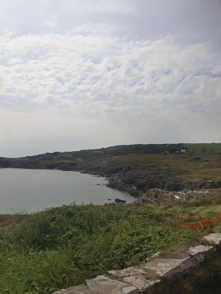 De Durrus à Ardfield