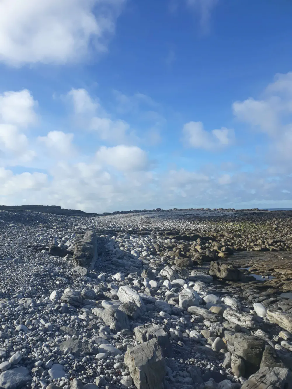 An image of this adventure