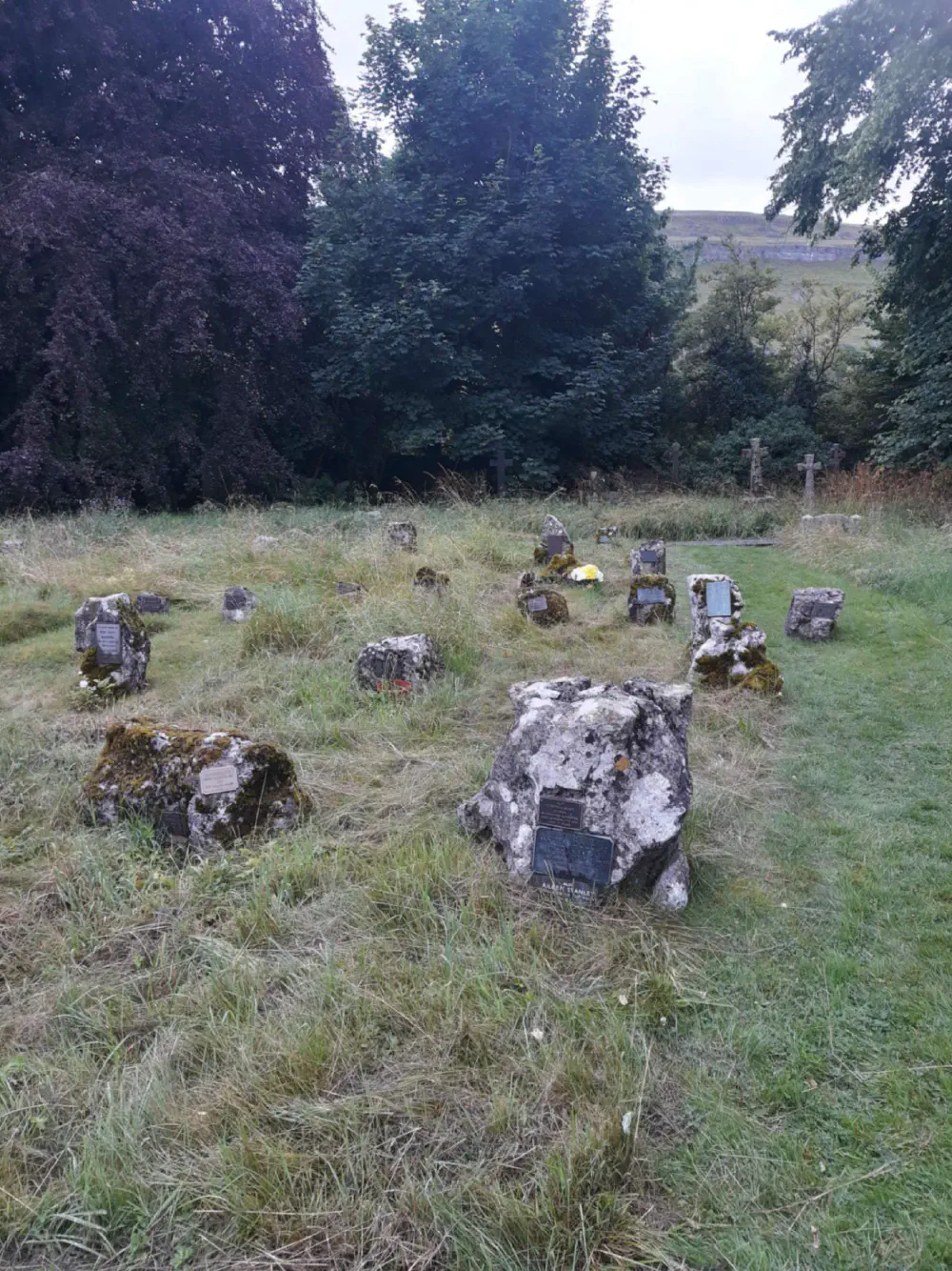 An image of this adventure