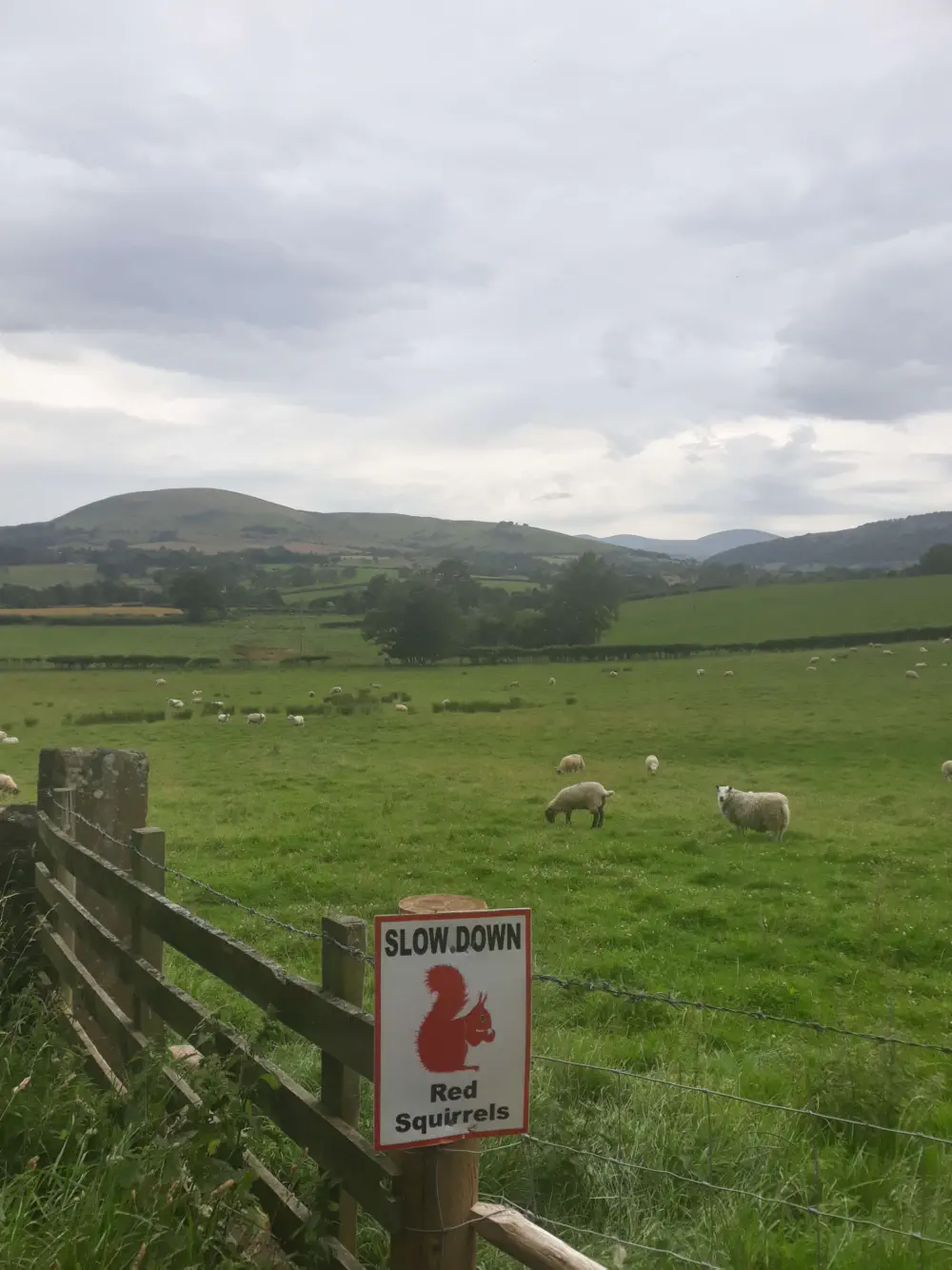 An image of this adventure