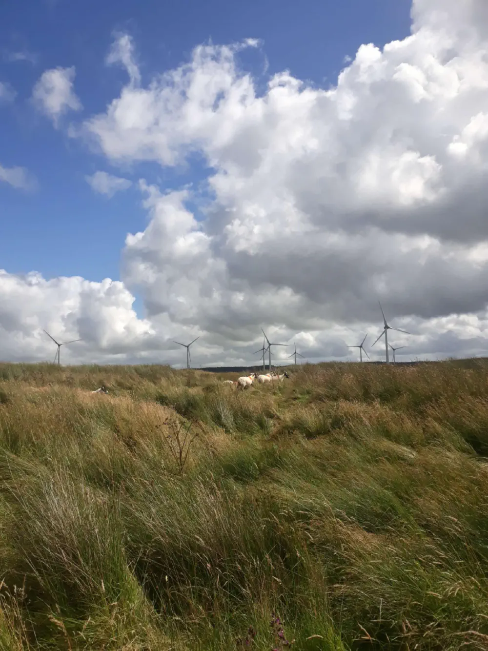 An image of this adventure