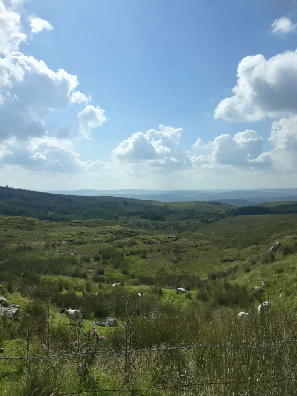 An image of this adventure