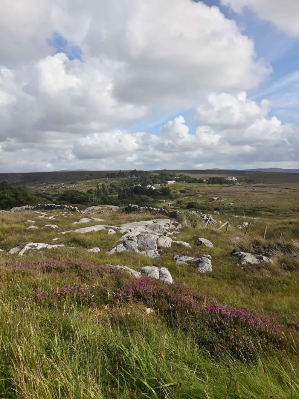 An image of this adventure