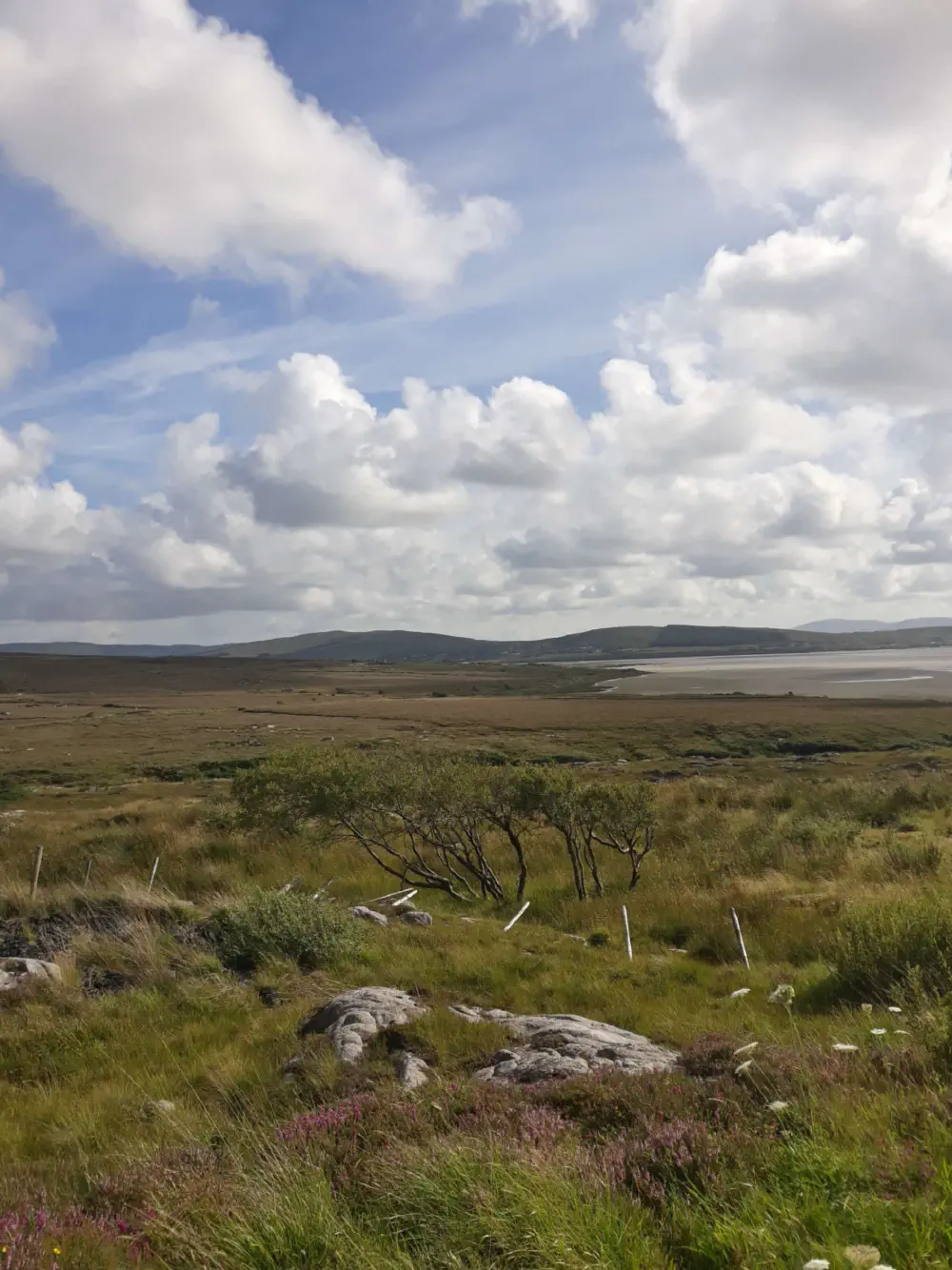 An image of this adventure