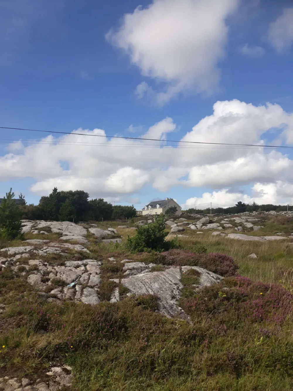 An image of this adventure