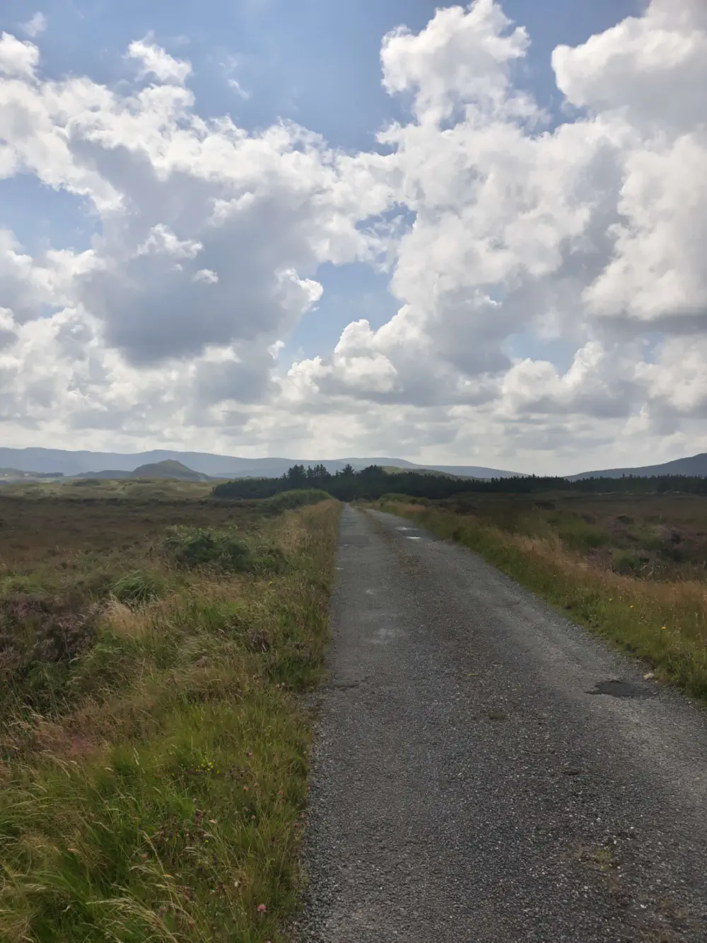 An image of this adventure