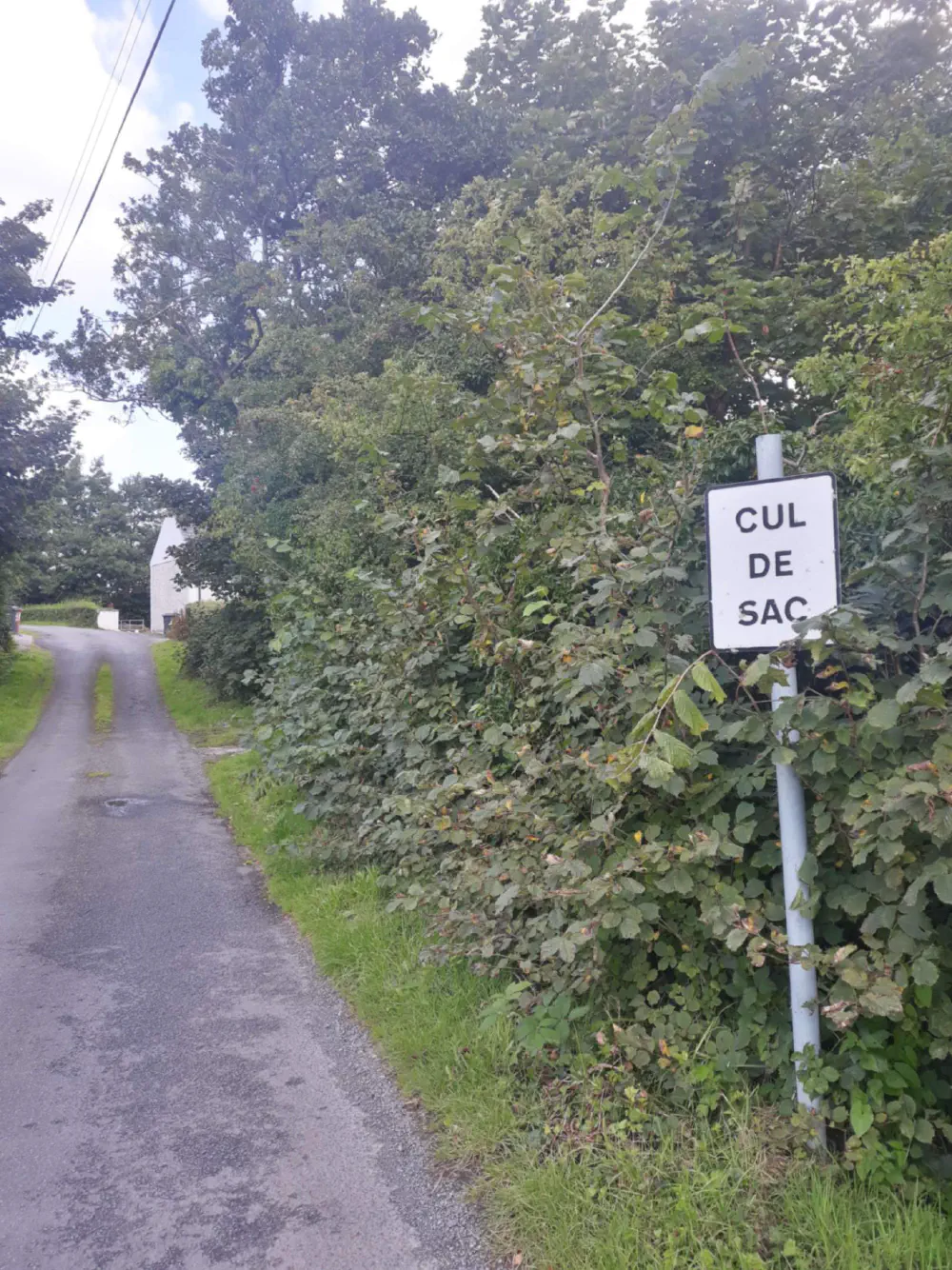 An image of this adventure