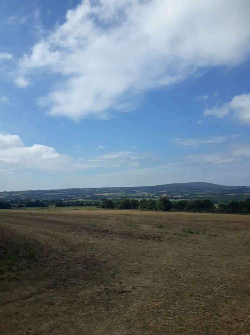 An image of this adventure