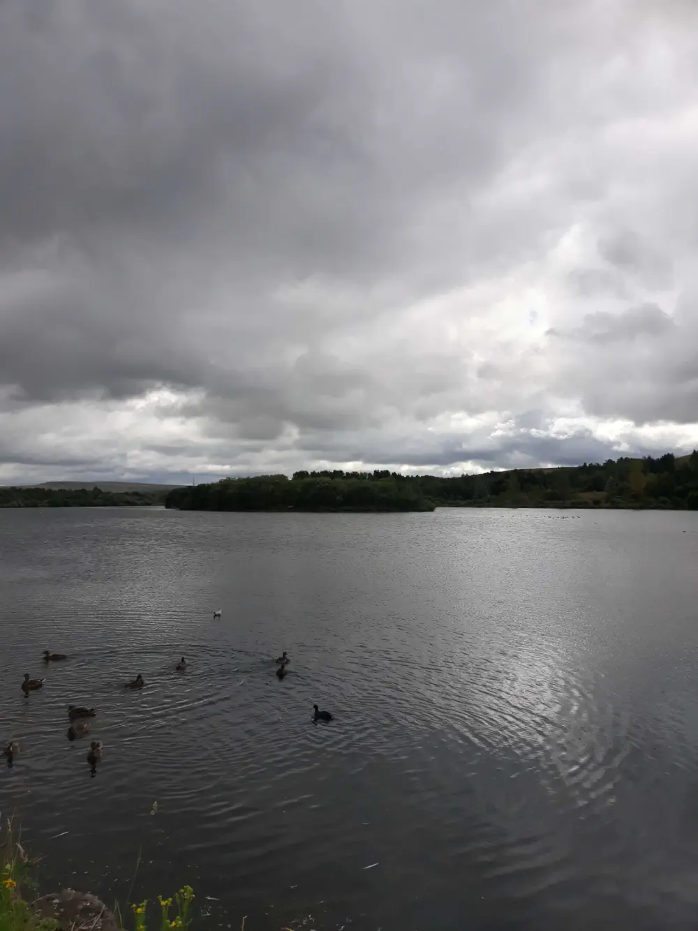 An image of this adventure