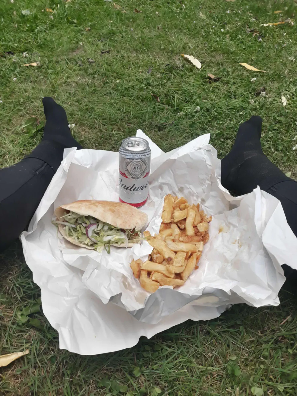 An image of this adventure