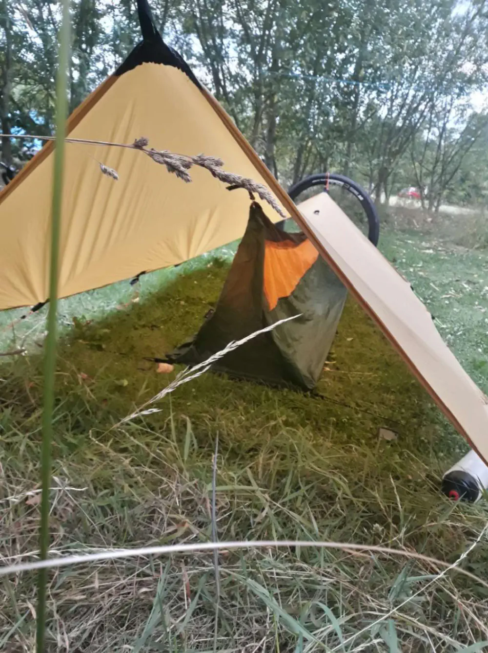 An image of this adventure