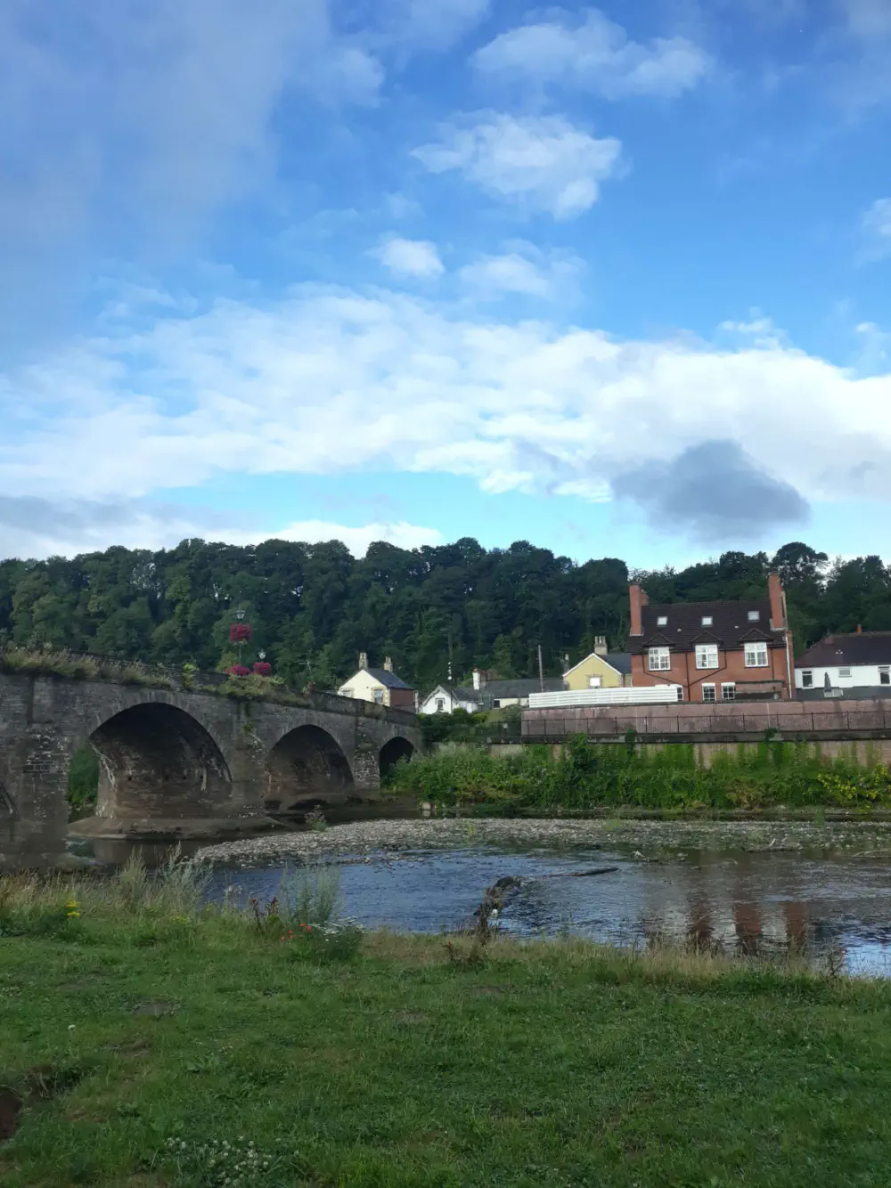 An image of this adventure