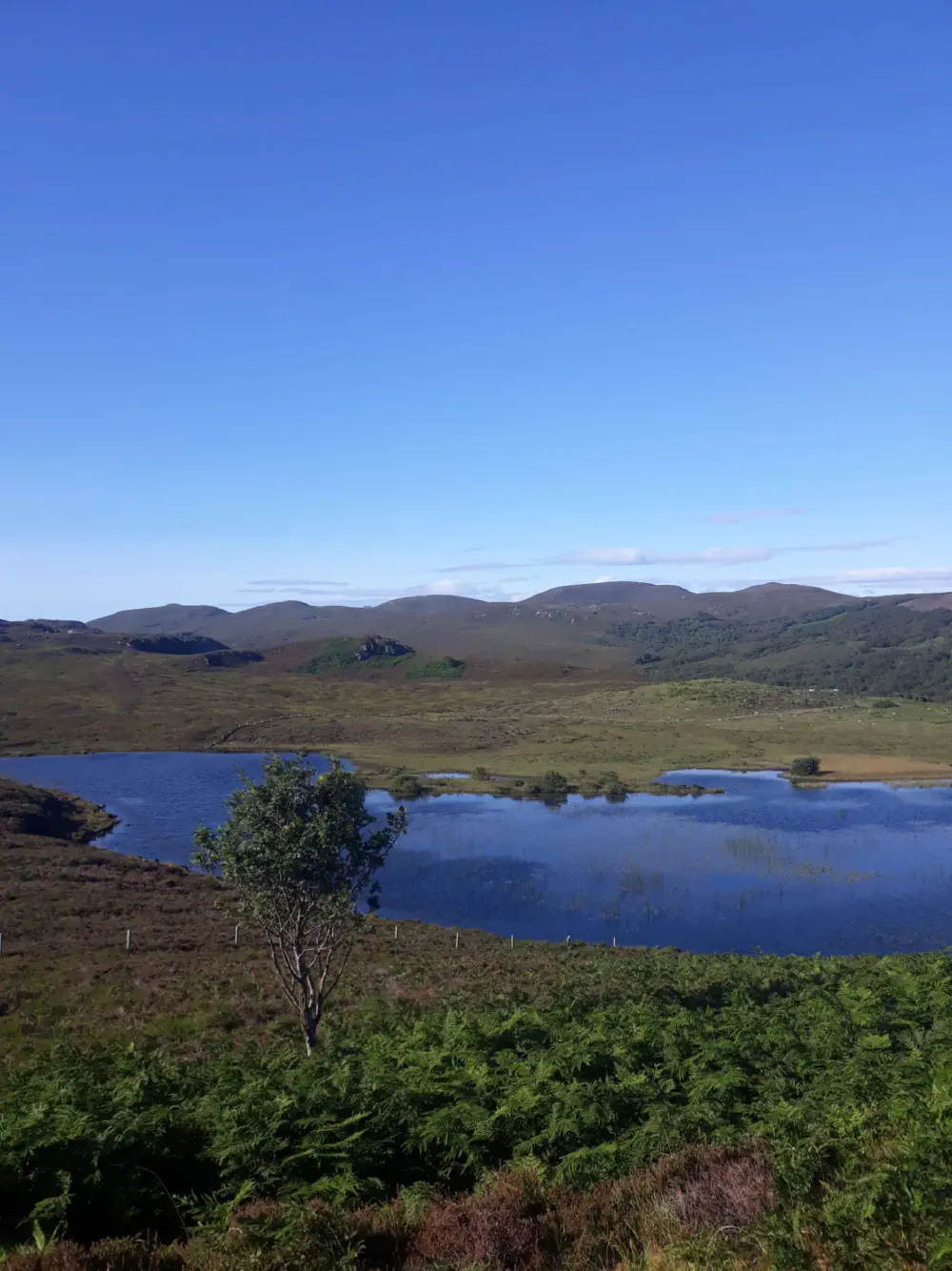 An image of this adventure