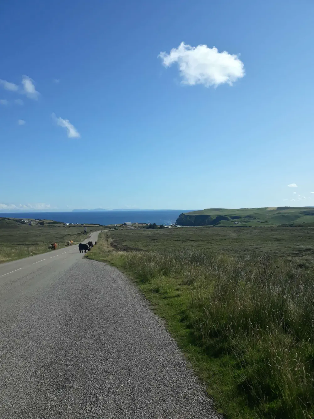 An image of this adventure