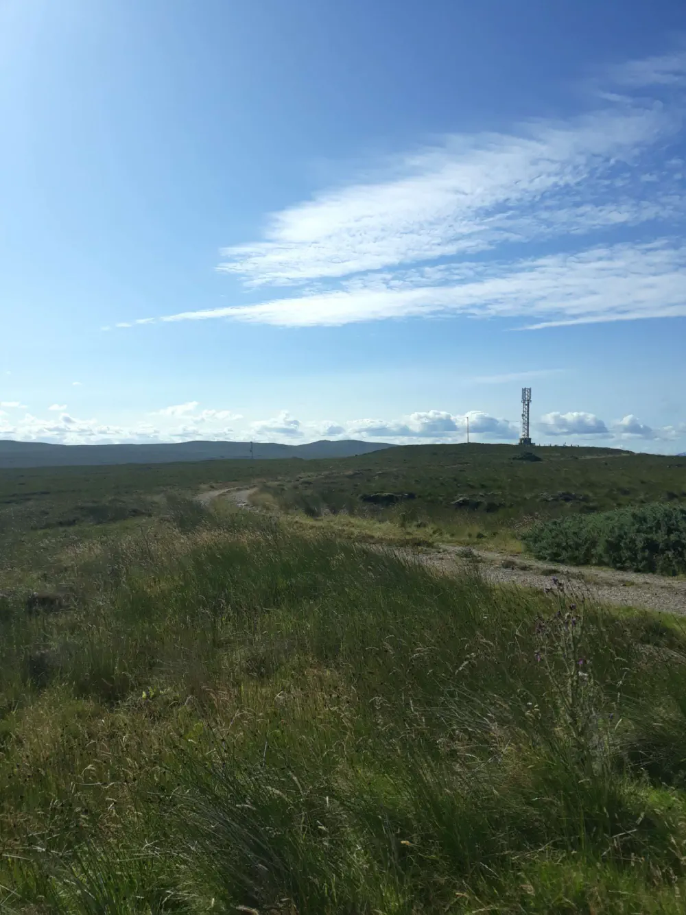 An image of this adventure