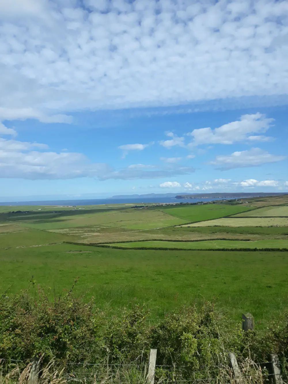 An image of this adventure