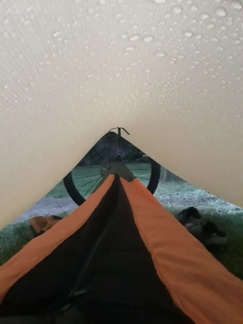 An image of this adventure