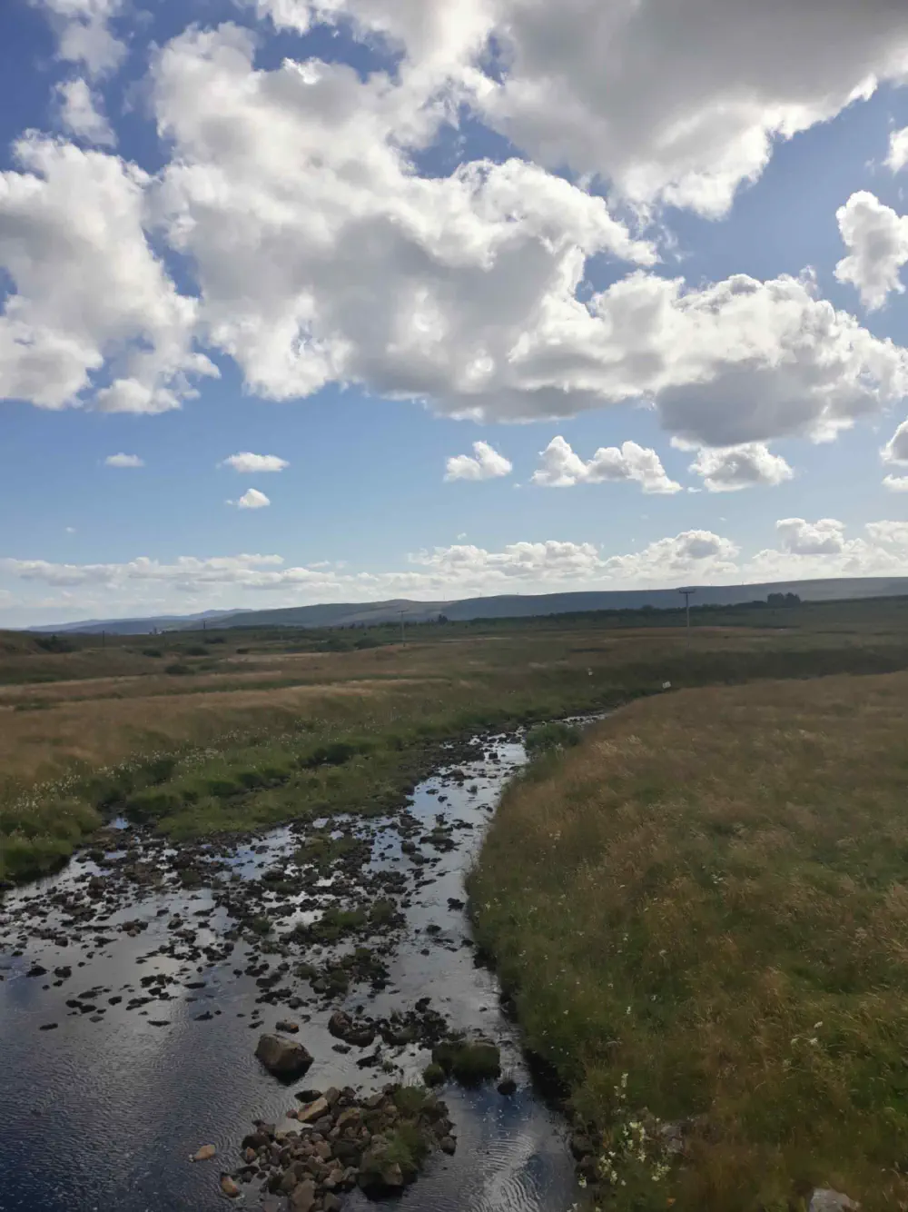 An image of this adventure